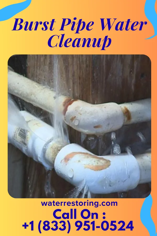 Burst Pipe Water Cleanup in Williston Park, NY