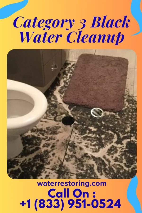 Category 3 Black Water Cleanup in Williston Park, NY