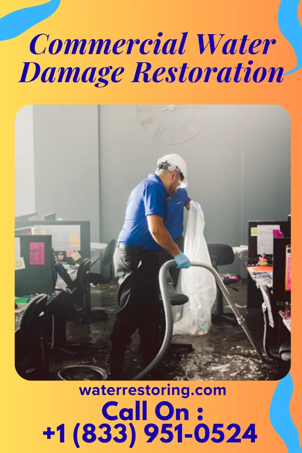 Commercial Water Damage Restoration in Williston Park, NY
