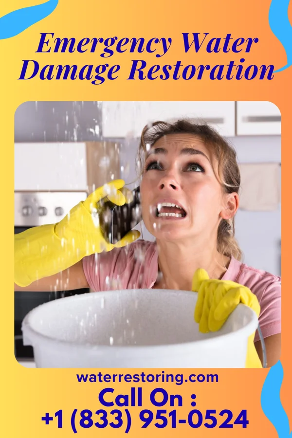 Emergency Water Damage Restoration in Williston Park, NY