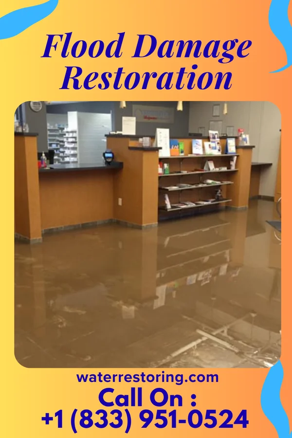 Flood Damage Restoration in Williston Park, NY