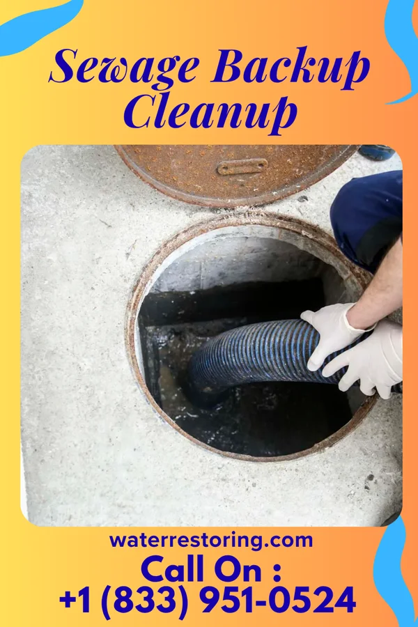 Sewage Backup Cleanup in Williston Park, NY