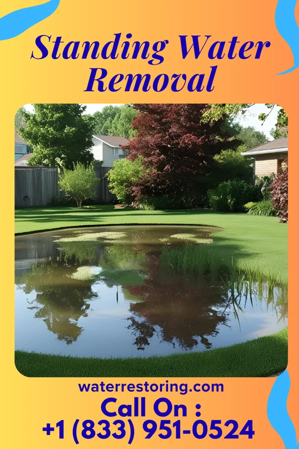 Standing Water Removal in Williston Park, NY